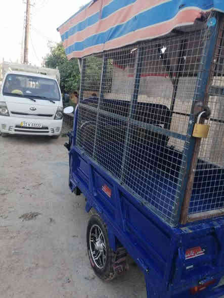 ستوته شحن 2023  6 بطاريات  ام الولد الصلي  جديده مال  اسواق
ويل كب   تاير جوبلس  السعر مليون وربع  1250
*********** بعقوبه  قرب تقاطع القدس
