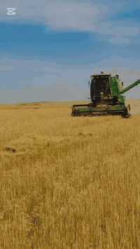 السلام عليكم  دراسه جوندير موديل 2013 تبريد ابلادي شرط للبيع رقم او سنويه اب اسمي سنويه لل 30 شرط التحويل محرك شرط شركه لا صرف ولا بخار معمل جاهز على حصاد السعر 130 ورقه للستفسار الاتصال على الرقم ***********. 
***********
