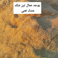 عمال تبن • الخاص مفتوح