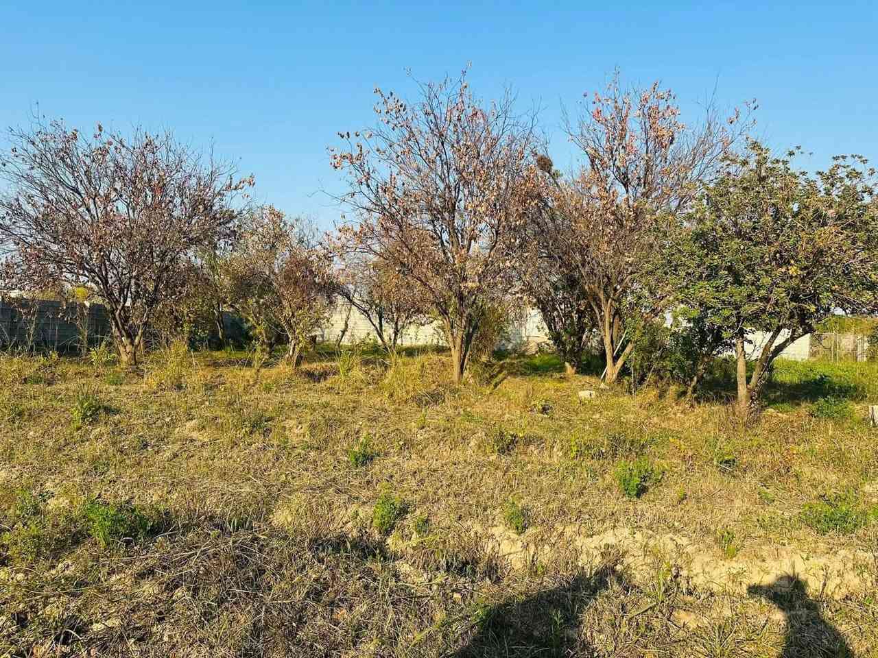 السلام عليكم 
قطعه ارض +هيكل للبيع (عل طريق الصخيل )
المساحه :2450 م
للاراغبين بل شراء الاتصال عل الارقام التاليه :
او زياره مكتب الصالح للعقار
***********
‭0785 737 1712‬
***********
