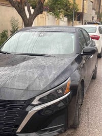 التيما SV • ٢٠٢٣ • قطعة صبغ