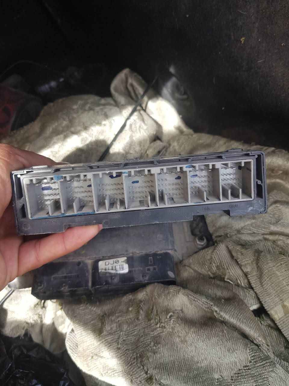 شباب عندي هذني العقول شغالات مال كروز موديل 15 خليجي شرط الشغل خلي سعر وباالعافيه


**إذا كنت صاحب هذا الإعلان وتريد حذفه لأي سبب، رجاءا أرسل رسالة إلى الدعم الفني**