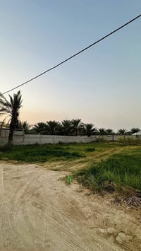 خلف جامعة العميد • ٦٢٥م • وجه ١٦م