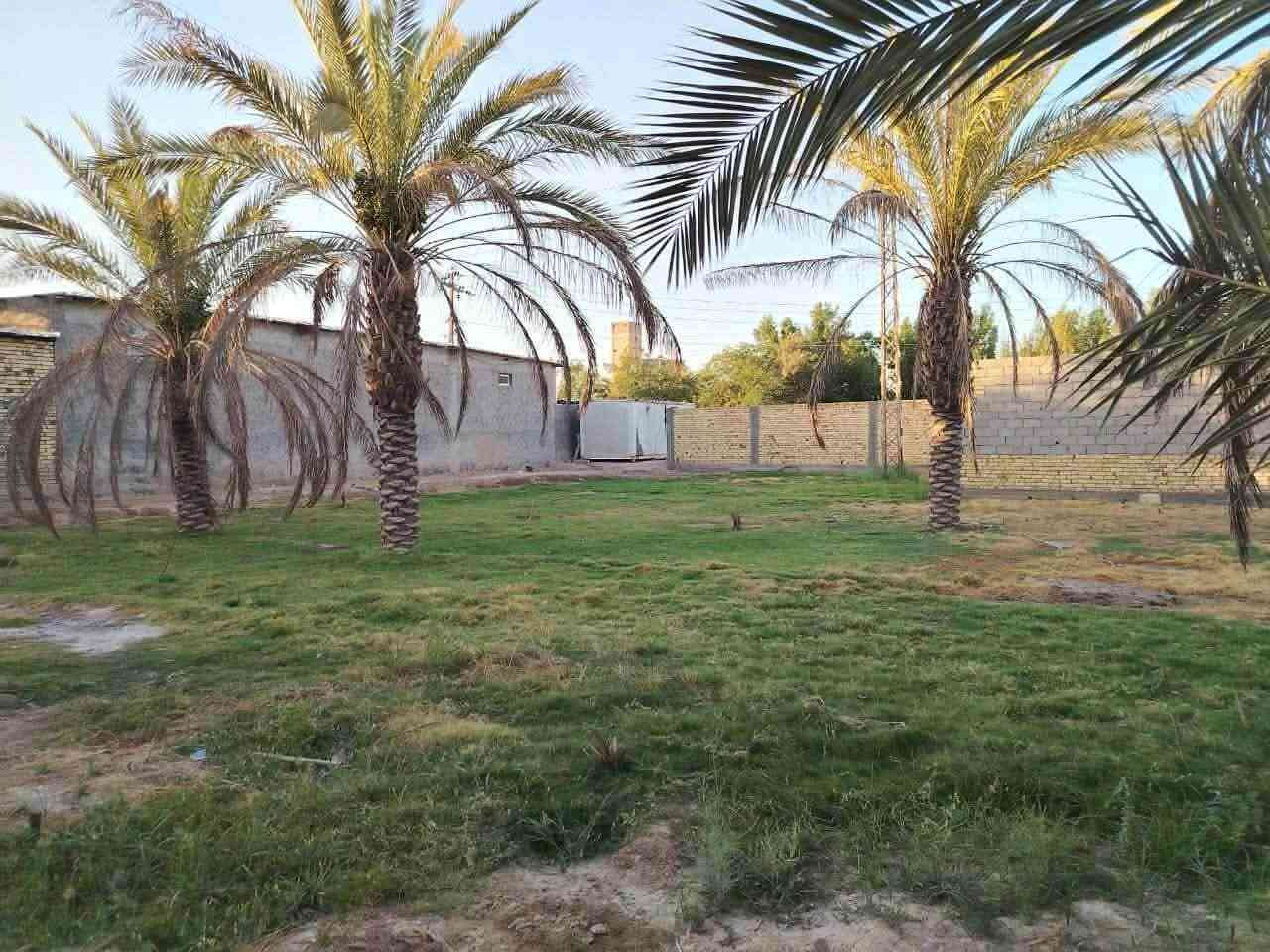 قطعه ارض طابو سند 25  مساحتها الكليه (1700M) الواجهيه (25M) والنزال (70M)   الارض تحتوي على منزل بناء حديث طابوق جمهوري مع سقف كونكريت  طابقين مساحته (300) متر  وحديقه  فيها نخل شكر ويوجد كافه الخدمات من ماء اساله وكهرباء وعلما ان الارض تقع على طريق يا حسين مقابيل معمل النشى مجاور مكتب المحافض في بابل الهاشميه والتفاصيل الاخرى اتصل وبيك خير ودلل ***********
