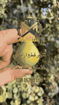 قطع اراضي للبيع
واتساب ***********
***********
