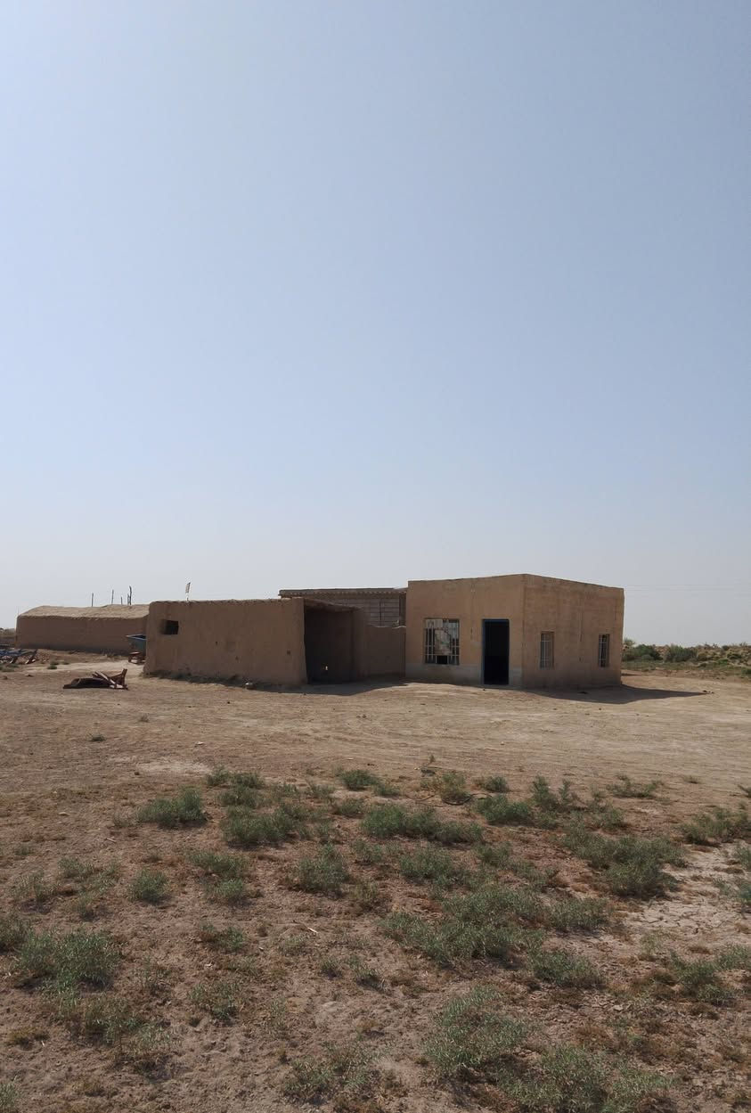 للبيع ارض زراعيه 100دونم هيه وبيته تبعد عن تبليط كيلو ونص كاع حته صبخه ما بيه وبيته جاهز مجهز المكان الدوايه كيلو 30 بطويله تبعد عنه المدرسه نص كيلو الاستفسار اكثر اتصل *********** #*********** سعر مناسب دونم 350
