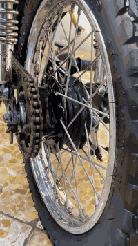 سلام عليكم شباب غراض مال دراجه للبيع بس شاصي مو للبيع
ب ٥٠٠ وبيهن مجال للشراي مكاني بصره مطيحه 
***********
