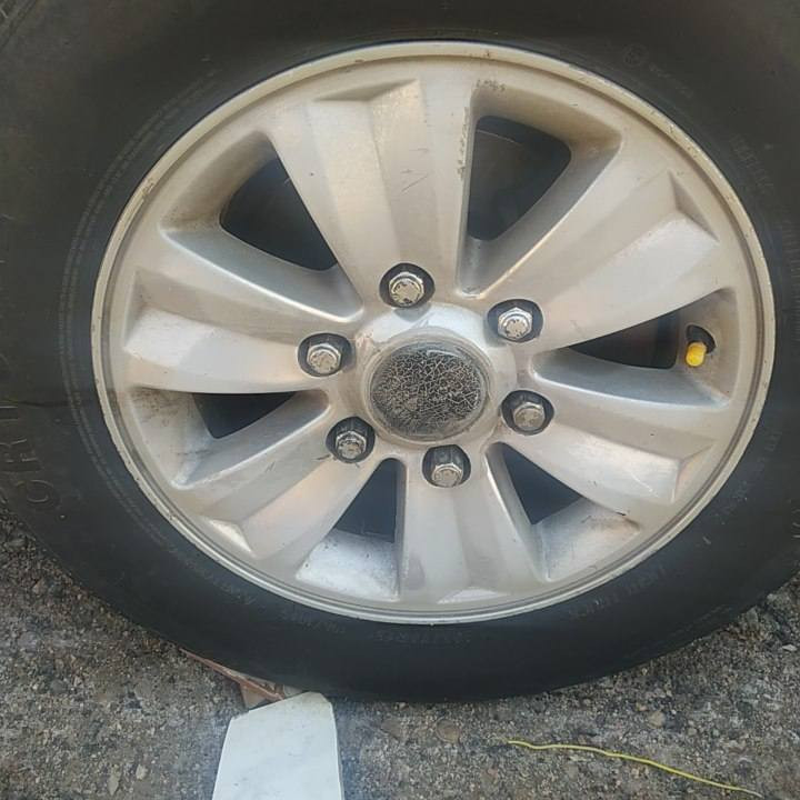 سلام عليكم ويل كب مال جنبي مراوس بويل عادي مكاني البصره الكرنه ***********
