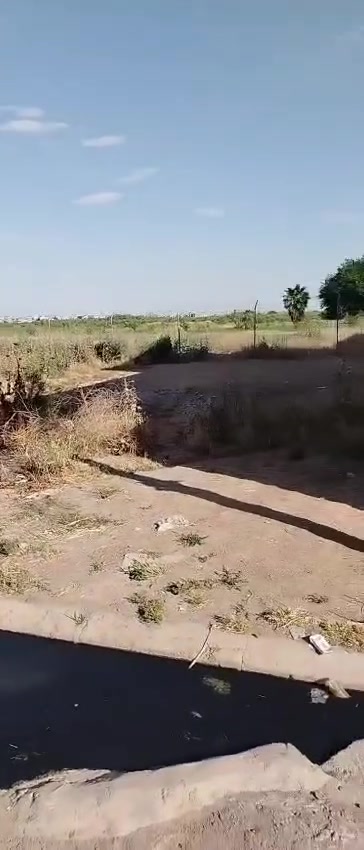 ارض االبيع زينونة الثانية ***********

