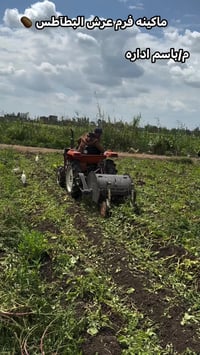 ماكينة فرم • فرم بطاطس • معدات مطاعم