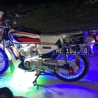 تايگر 20 • وزن ثقيل • بلادي