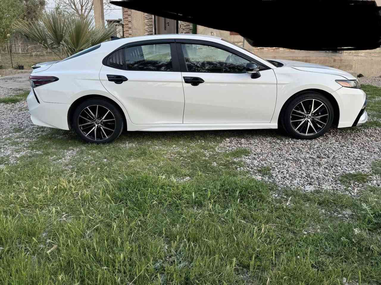 كامري 2023 SE ماشيه 40 mil  صبغ 3 قطع
بنيد+جاملغ+باب سايق  دواخل ضعيفه جهة سايق رصعة بالشاصي 

سياره فول عدا فتحه  بصمة تشغيل بصمة ابواب تشغيل عن بعد 

سياره جديده محرك گير شرط صدر تخم تاير كله جديد

سنويه رقم هزه جديد تحويل مباشر

مكان السياره الحويجه-الحلوات ***********

السعر 178$ بيها مجال قليل 

ملاحظه: بيع نقد فقط…. لا مراوس ولا قسط ولا دين
