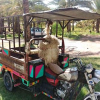 ستوته • ٢٠١٤ • اوراق اصولي