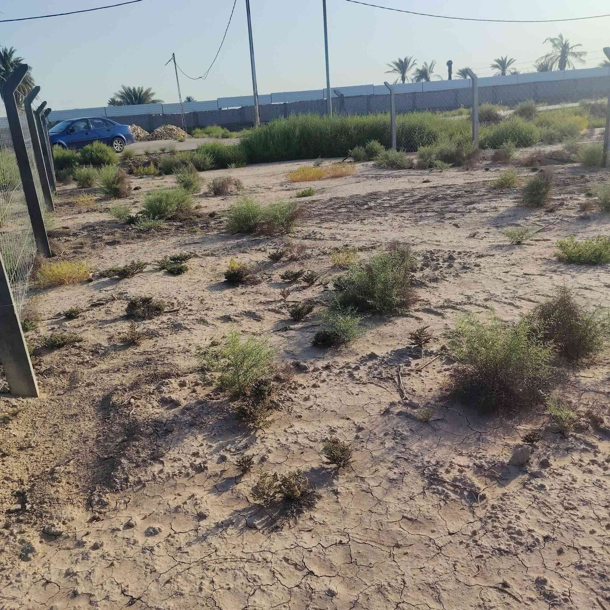 قطعة 200م طابو صرف زراعي تحويل مباشر صالحه للسكن ومسيجة بالكامل مكانه خلف جامعة المستقبل تتوفر كل الخدمات وتبليط للقطعة للاتصال *********** بيه وتساب
