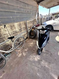 دراجه ماكس • كفاله • دبل خلفي أصلي