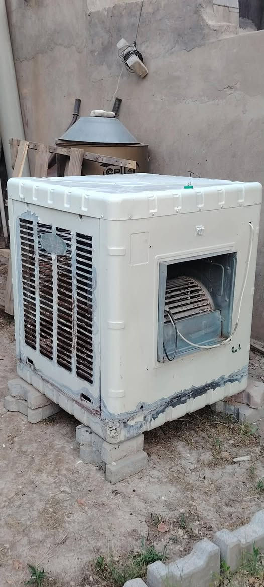 المبرده للبيع السعر 50  العجانه للبيع السعر 65


**إذا كنت صاحب هذا الإعلان وتريد حذفه لأي سبب، رجاءا أرسل رسالة إلى الدعم الفني**