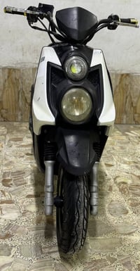 سكنس جبلي • مكينه مكفوله • اوراق كامله