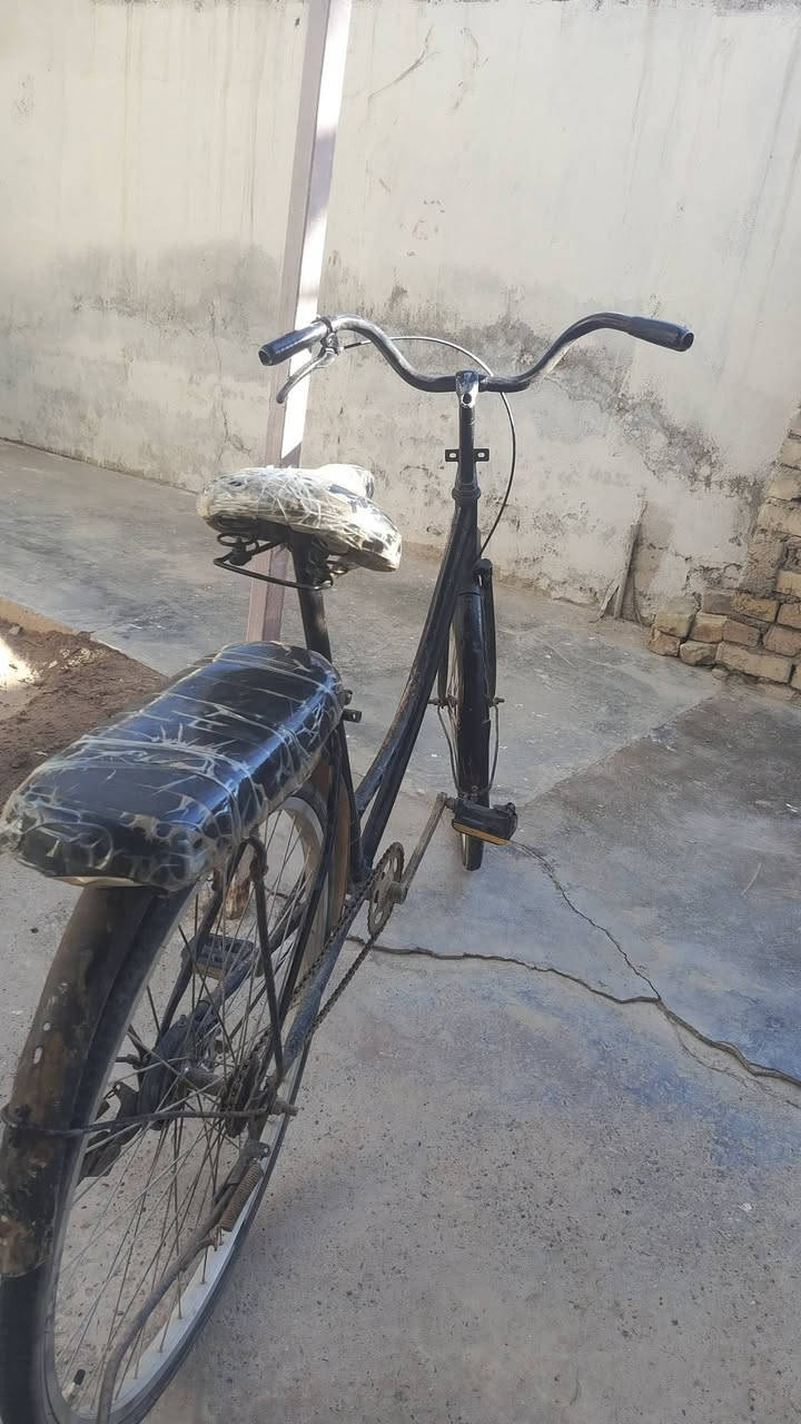 بايسكل للبيع بسعر مناسب


**إذا كنت صاحب هذا الإعلان وتريد حذفه لأي سبب، رجاءا أرسل رسالة إلى الدعم الفني**