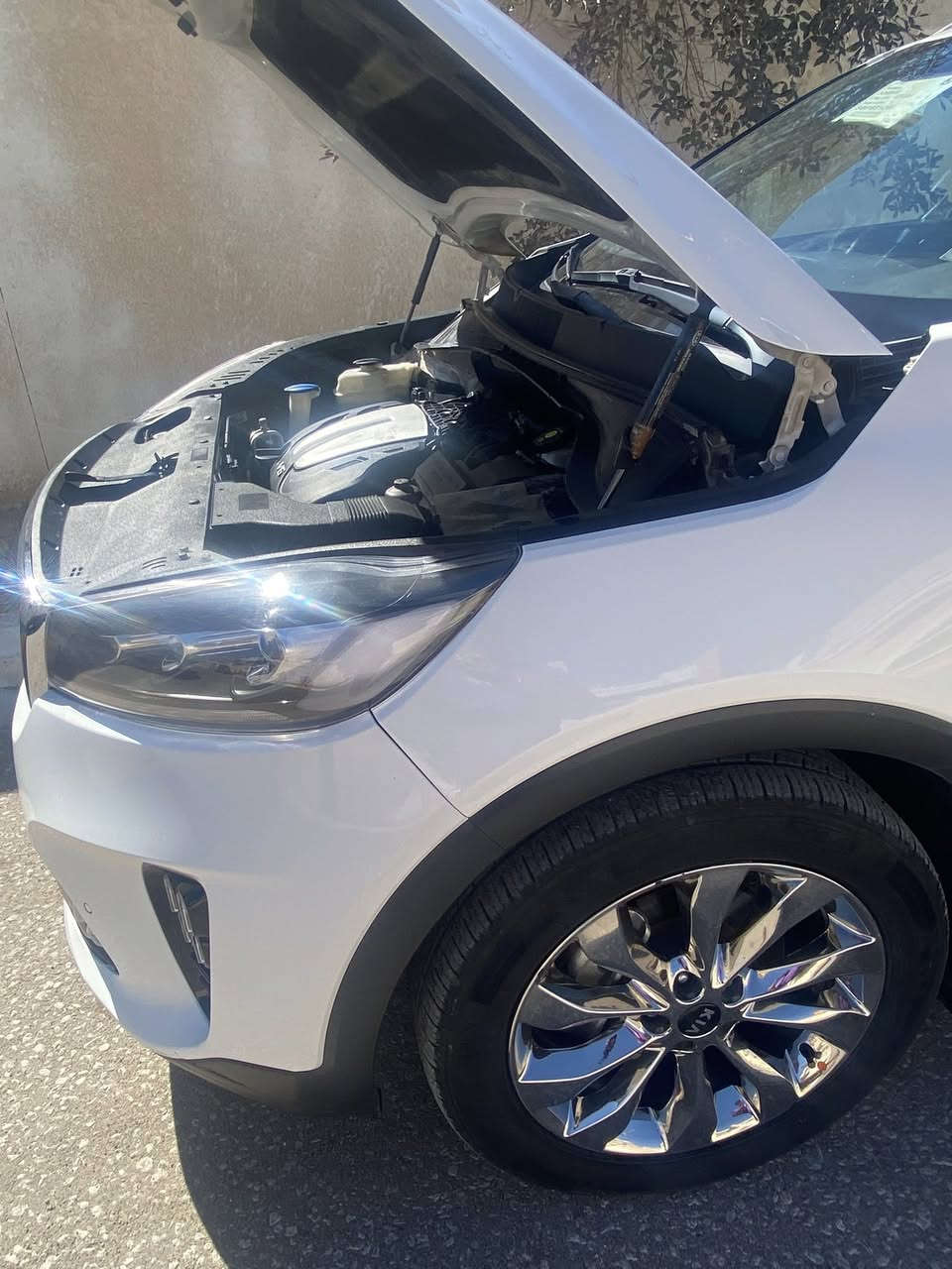 السلام عليكم 
السلام عليكم 
للبيع كيا سورنتو 2020 (خليجي ) رقم بابل 
سياره مكفوله مواصفات ضمان شركة الدولية
 ماشيه 86
1_بصمه ابواب
2_محرك 6سلندر
3_نفكيتر ماوس جي بي اس خرائط
4_حساسات اماميه خلفيه
5_اللايت زنون 
6_شاحن وايرليس
7_شاشه اصليه
8_كامره صليه دواره 
9_كراسي 2 كهرباء
10_ 3قطع تبريد
11_لد امامي مع تشغيل 
12_كروز مثبت سرعه
13_تحكمات ستيرن
14_سبعه راكب 
15_ويل كب نيكل
16_بصمه تشغيل وابواب
17_كير 8 نمر 
18_ترحيب 
19_كشنات جلد
20_جنطه كهربائية ذكيهً (الفتح عند الاقتراب)
21_مري شفط اشاره بل مري
22_بردات ابلادية
23_اربع انظمه قياده smart.  Cimfort.  eco.  sport
24_كشافات ضباب
25_علامة سورينتو  مضيئه بالدواسه
26_لايت زنون عالي وناصي  
السياره بأسمي وتحويل ثاني يوم 
لاتصال ول استفسار ***********
