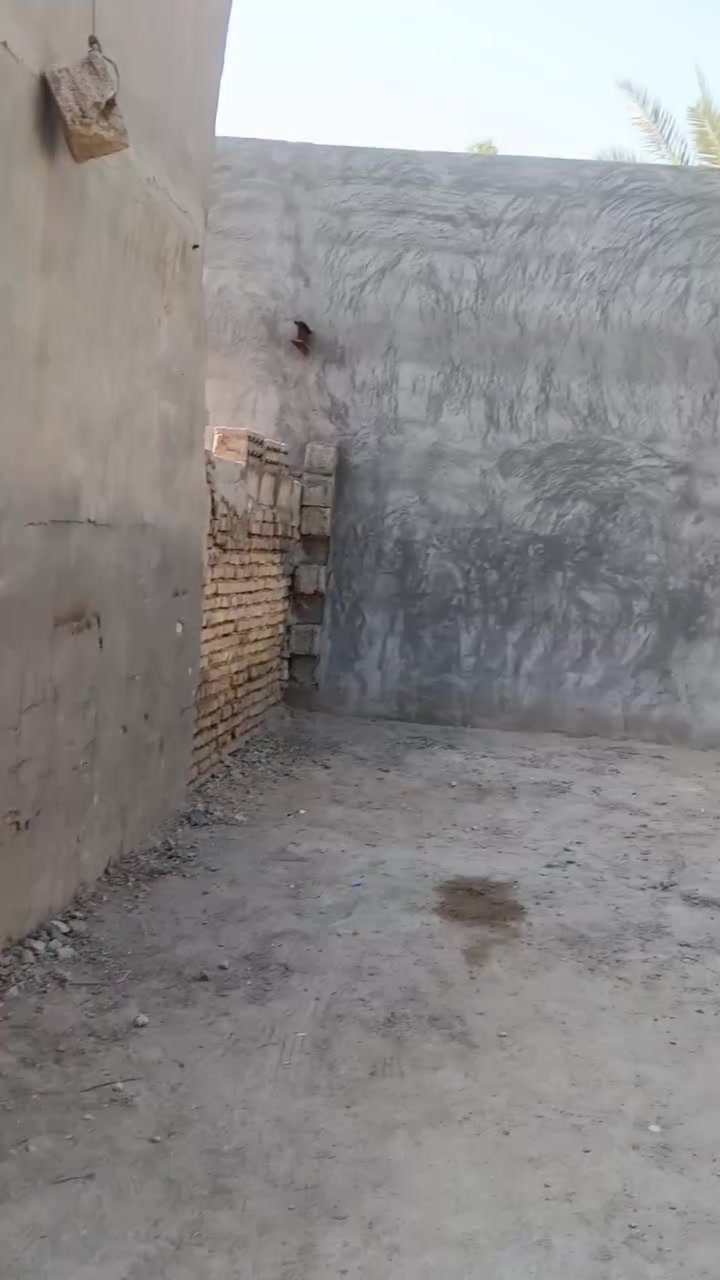 بستان عامره 4دونم معه 4منازل طابو سند 25تحويل  كربلاء طريق البراهميه قرب مجسر البراهميه مباشر على شارع العام 
***********
***********

