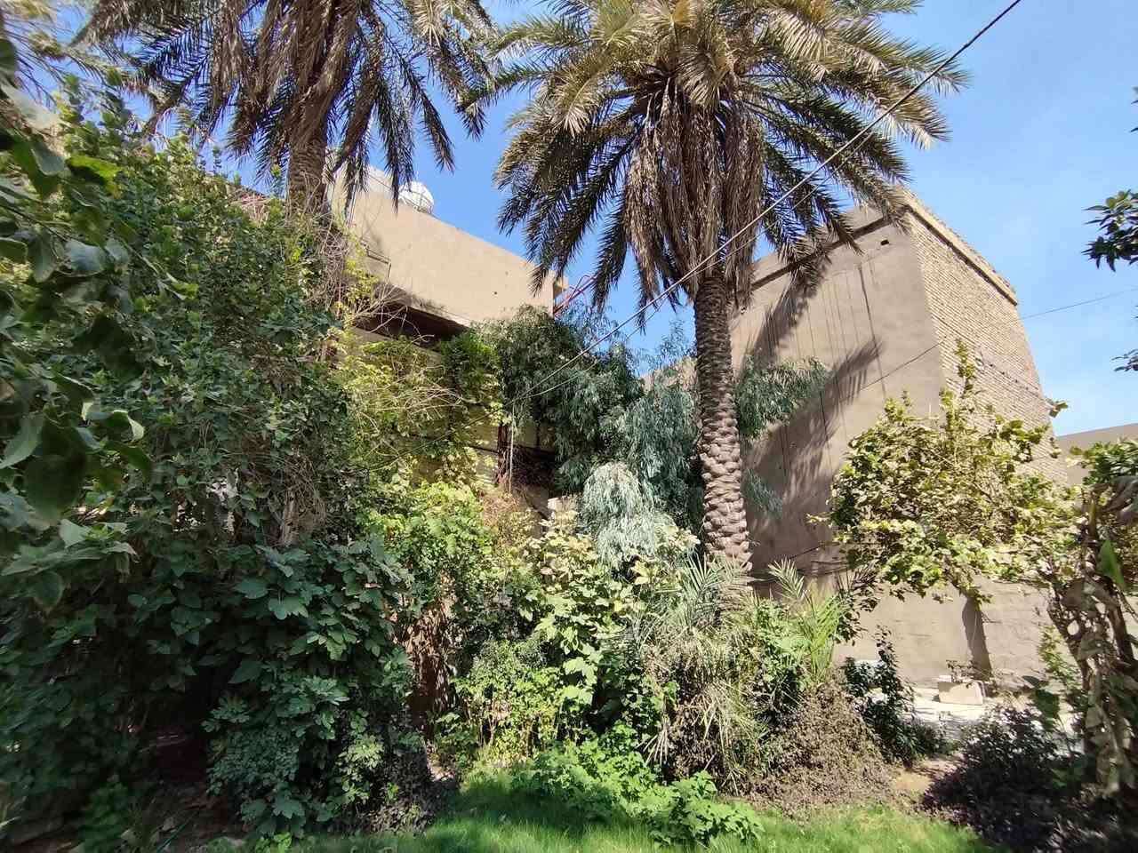 🏠 بيت للبيع – موقع تجاري مميز جدًا 🏬
📍 الدورة – شارع 60 الرئيسي (شارع تجاري حيوي)
💰 بسعر مميز
🔹 المساحة الكلية: 642 متر
🔹 الواجهة: 15 متر
🔹 العمق: 42 متر
🔹 الطابو: صرف 100%
🔸 مواصفات العقار:
4 محلات تجارية
شقة سكنية فوق المحلات
مخزن فوق الشقة
حديقة واسعة بمساحة كبيرة
بيت مبني بمساحة 150 متر
✨ فرصة استثمارية ممتازة (تجاري + سكني)

📞 لستفسار والتواصل:
***********
