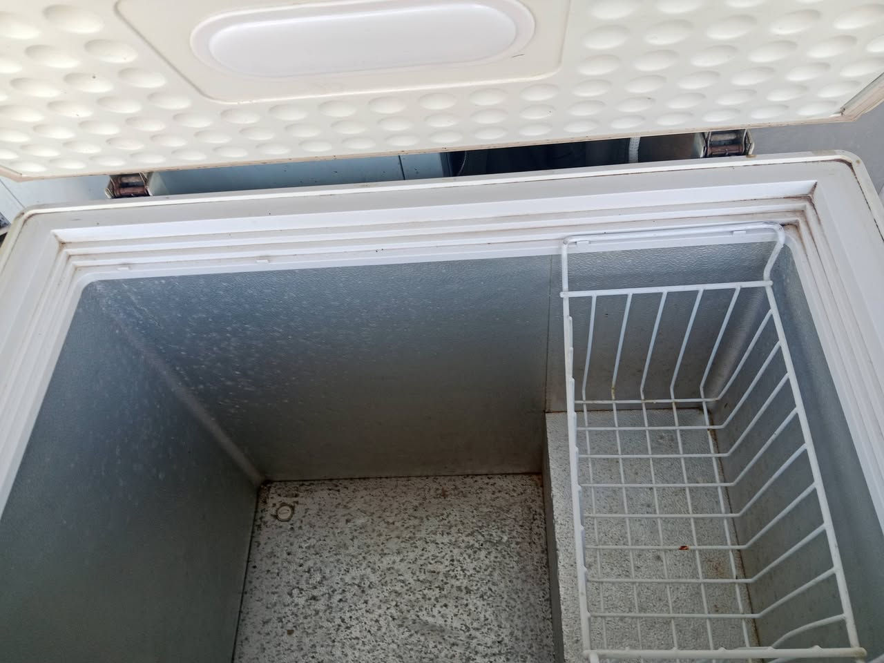 السلام عليكم مجمده 9قدم نوع الونسا شغاله ابلاديه غاز وماطور ابلادي للبيع 95 الف كله شارع 80 تلفون ***********
