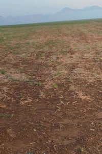 أرض زراعية • رانية السليمانية • ٤٥٠٠م