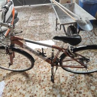 دراجة • ياباني أصلي • واتس