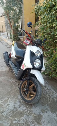 سكنس جبلي • ياباني اصلي • بغداد زعفرانيه