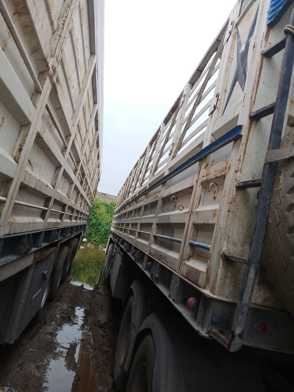 عريانه ثلاث دنانير للبيع
هاتف ***********
