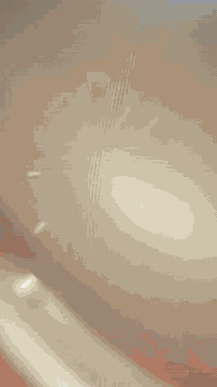 سلام عليكم دراجه قجمه للبيع دراجه نضيفه مكينه مملعوب بيها بلاديه صالنصه بلادي كلشي بيها بلادي رايدها ٥٠٠نكره سلف شلعه كفرات بلاديه واي استفسار هذا رقمي***********واتساب موجود هم
