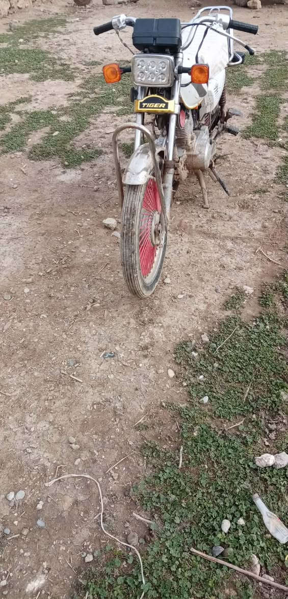 تايكر الفين 19 معمر مره واحده المكان حمام العليل السعر 250 وبي مجال ***********
