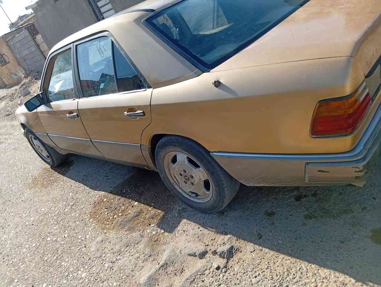 مرسيدس دب مكفوال من ضربه بس غرفتها عوز ترتيب سياره قشرتها حلوه لا خياسات ولا شي سعر 24
***********
مكان العماره 
مرسيدس دب مكفوال من ضربه بس غرفتها عوز ترتيب سياره قشرتها حلوه لا خياسات ولا شي سعر 24
