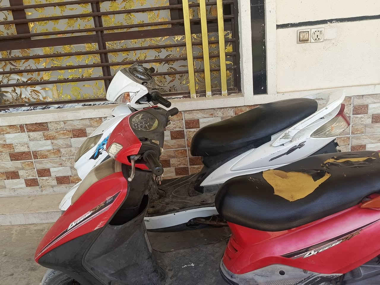 تكنس نازل للبيع اللون الابيض نازل فحل وهاي الثاني وياها الحمراء للبيع يفيده بخير ويدلل انتصر على هذا الرقم ض***********
