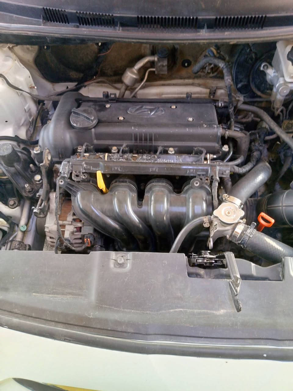 اكسنت. خليجي  مكينه   1600  موديل 13 مكينه كير تبريد خير من لله لسياره أحله من لصور بيهه بابين مبدل شركه بدون دواخل وصبغ بلبنيد شبرين بدون دواخل شواصي لغد مكفول تغم تاير جديد صدر أمامي خلفي جديد رقم بغداد انكليزي شرط لتحويل مكاني لبياع شرطه الرابعه مبالي *********** سعر 90 ورقه    لحب يشتري يتصل ماجوب خاص
