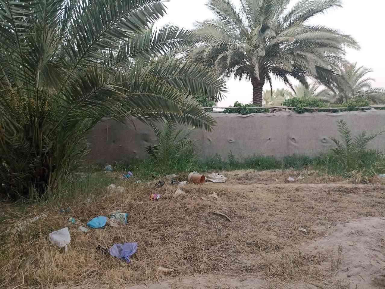 قطعة زراعية للبيع 600 متر طابو زراعي بحي ميسان قرب سكلة الكرعاوي بشارع الزوار قرب أسواق الميالي بيها نخل حمال مع جميع الخدمات منطقة سكنية متكاملة 
للاستفسار ***********
