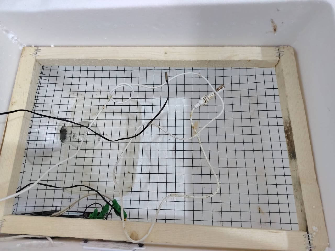 سلام عليكم
متاح فقاسه فلين  ٦٠ بيضه  التفقيس بيض الدجاج وجميع انواع الطيور تقليب يدوي سعرها ٤٥ وبيه مجال مكاني حله ورديه خارج مستشفى الكفيل على الشارع العام

للاستفسار خاص او اتصال على الرقم او واتساب

***********
