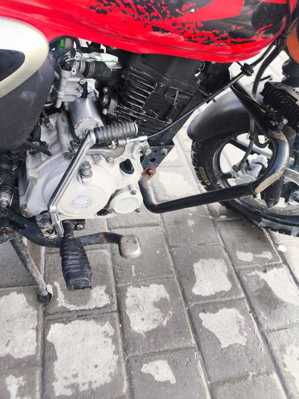 سلام عليكم بوكسر للبيع موديل 2020 مجفت تجفيت مضبوط رقم بغداد سعر 1250مكاني مدينه الصدر


**إذا كنت صاحب هذا الإعلان وتريد حذفه لأي سبب، رجاءا أرسل رسالة إلى الدعم الفني**