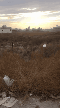 السلام عليكم قطعه ارضي زراعي 
سند ٢٥
في منطقه هور رجب بالمنتجع السكني 
تفاصيل اكثر لاتصال 
***********
***********
