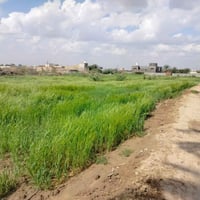 آل كيطان • ٤٢٠٠م • شاط الغراف