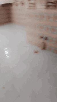 بيت للبيع 100متر زراعي مكان الشعب جمعيات خلف السده قرب فران قصي السعر 65 بي مجال ***********
