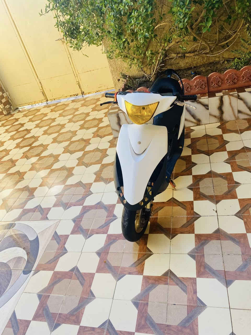 دراجة ماكس عدلة للبيع مال دوس التفاصيل ارجي اس فراك كرزي ستاند صفح اصلي كشن رياضي دبل خلفي اصلي يدات اصليات بيها عداد الكتروني مكينتها ٦٣ رولتها تتي مارك كلجات امامي وخلفي اصليات سلف ترجيه اصلي مشمشي شيال ذهبي اصلي صلنصه مال اربعة فج مال اربعة صينيه رياضيه راديتر ماي وياله اربي ام اصليات تايرات اصليات 

بس الشراي يدخل خاص 
***********
