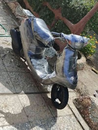 منغولي • فول • نضافه