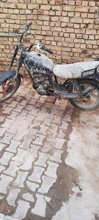 متروكه • بدون أوراق • بارين