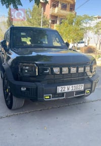 T2 luxury 2025 20,000KM price  265 $ 07724449989