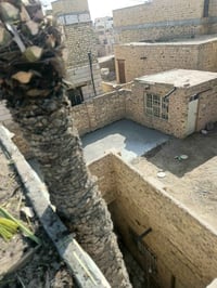 نشتغل قلع الانخيل أو شجار تصال واتساب ٠٧٨٣٥٧٤٦٣١١