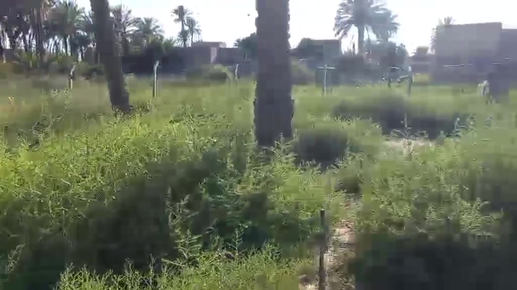 السلام عليكم
مساحه 500 متر 
طابو زراعي سند 25 قرار محكمه 
تبعد عن شارع العام طريق طوريج كربلاء 250 متر
تفاصيل الارض بالفيديو 
***********
***********

