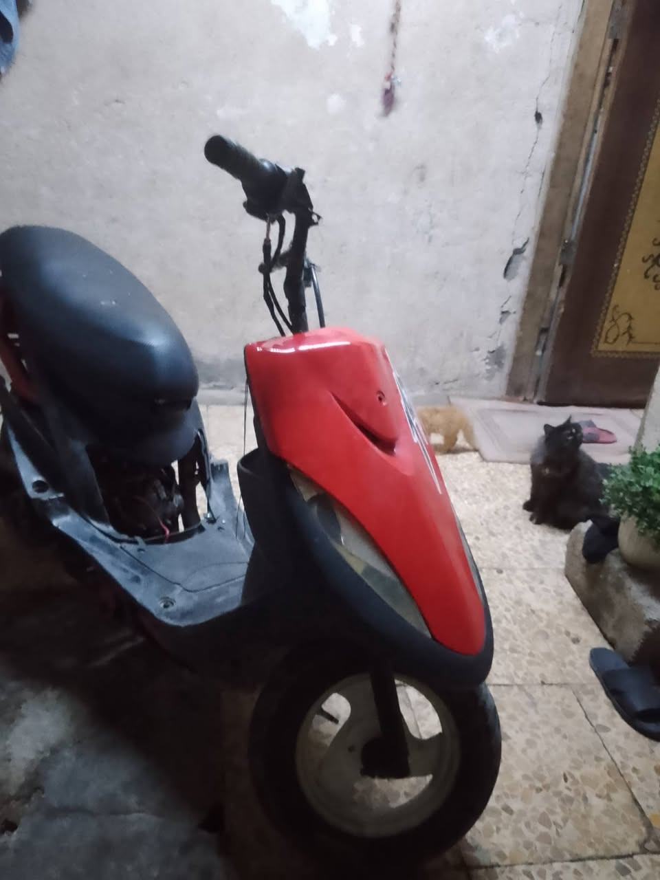 سلام عليكم دراجه ماكس عدله شغاله مكينه زينه  شلعه ومعدل سعر 250اغراضها موجوده  ***********
