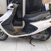 فراشه • نضيفه • شغال