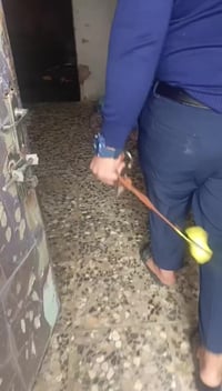 اليو ان • ٢٠٠م • غرفتين